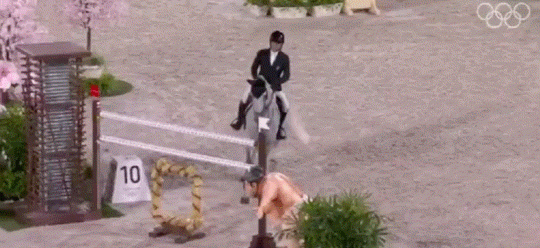 马术赛场雕像吓跑马图片_马术赛场相扑雕像把马吓跑