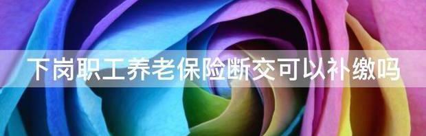 企业职工一次性补缴新政策？ 职工养老保险可以补交吗