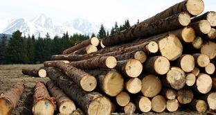 辩护书怎么写？ 辩护词格式范文