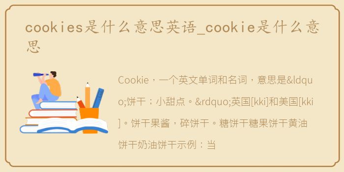 cookies是什么意思英语_cookie是什么意思