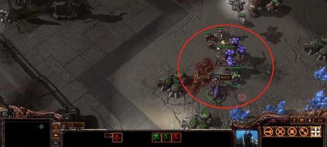 人族虫族战争_虫族战争