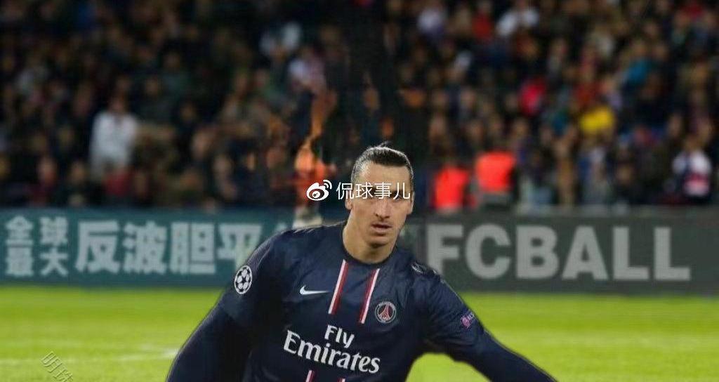 伊布自传片段_伊布自传