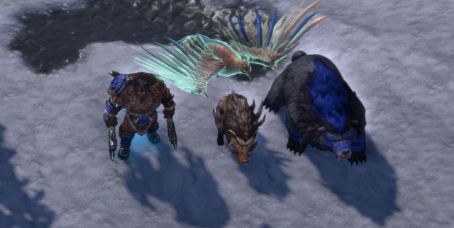 杜隆塔尔地图_杜隆塔尔