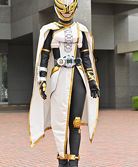 假面骑士Rogue小说_假面骑士rogue
