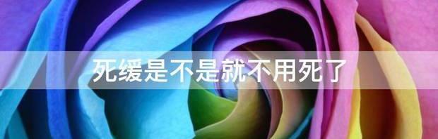 死缓必须死吗 死缓是不是就不用死了