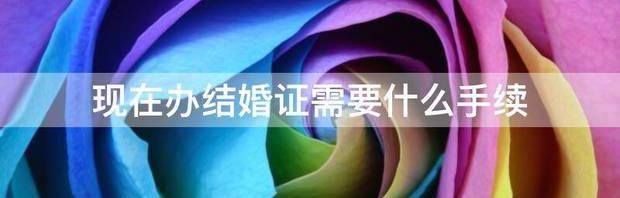 办结婚证的时候为什么要带户口本？ 办结婚证需要什么手续流程