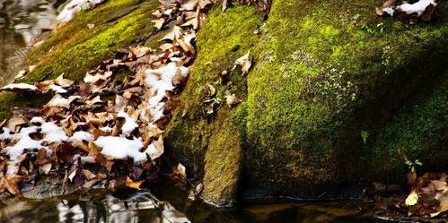 人体损伤程度致残标准是怎样？ 人体损伤致残程度分级