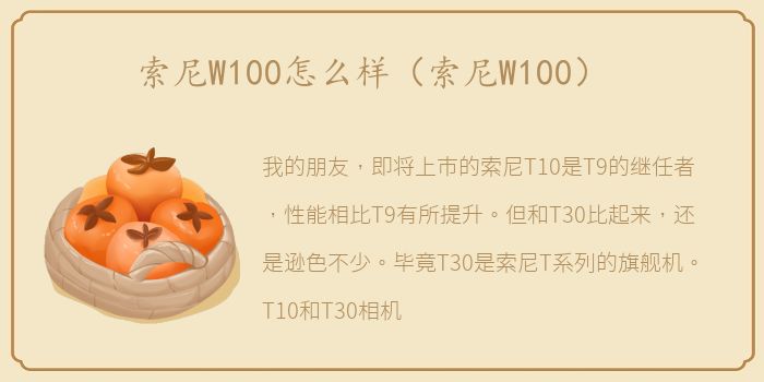 索尼W100怎么样（索尼W100）