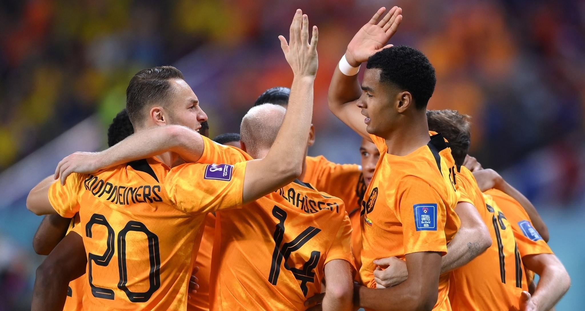 加克波 荷兰_加克波