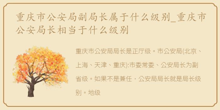 重庆市公安局副局长属于什么级别_重庆市公安局长相当于什么级别
