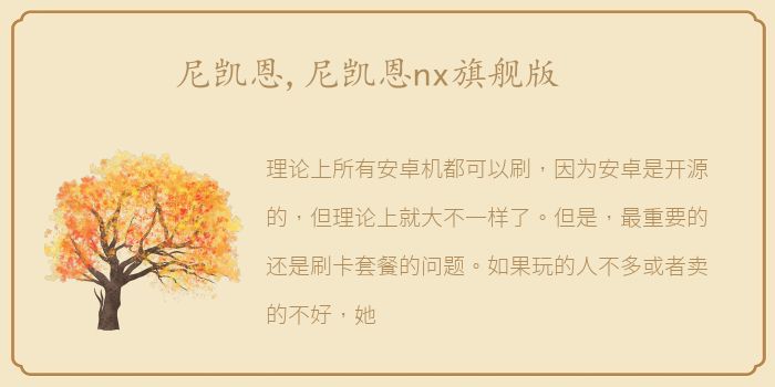 尼凯恩,尼凯恩nx旗舰版
