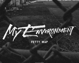 environment是什么意思（environment）