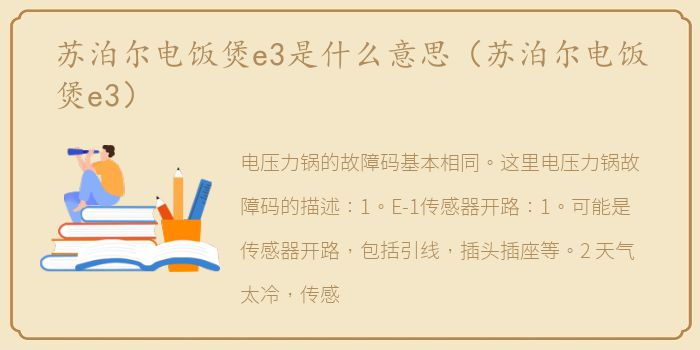 苏泊尔电饭煲e3是什么意思（苏泊尔电饭煲e3）