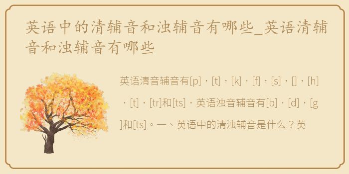 英语中的清辅音和浊辅音有哪些_英语清辅音和浊辅音有哪些