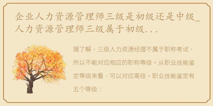 企业人力资源管理师三级是初级还是中级_人力资源管理师三级属于初级还是中级