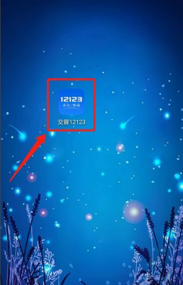 车辆违章查询？ 车辆交通违章查询