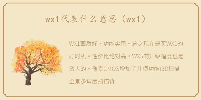 wx1代表什么意思（wx1）