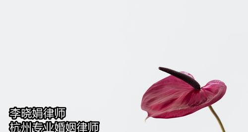 离婚起诉状范本 女方 离婚起诉书范文 女方