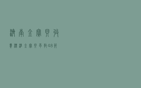 济南金宝贝收费标准，金宝贝早教48节课价格