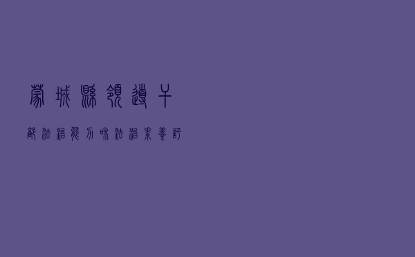 蒙城县领导干部法治能力和法治素养评价体系初见成效