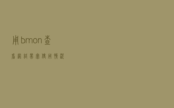 用 bmon 查看网络带宽使用情况