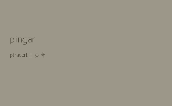 ping、arp、tracert三大命令详细用法，弄懂立马成大神