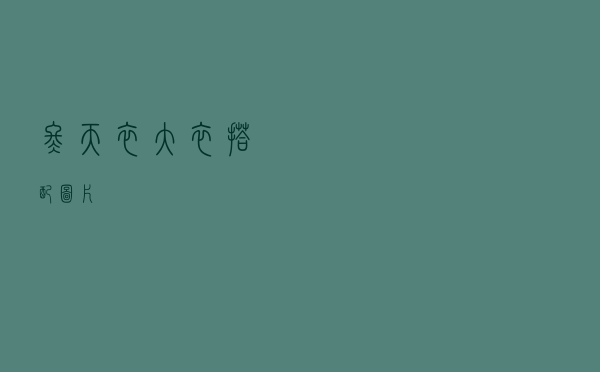 冬天衣大衣搭配图片