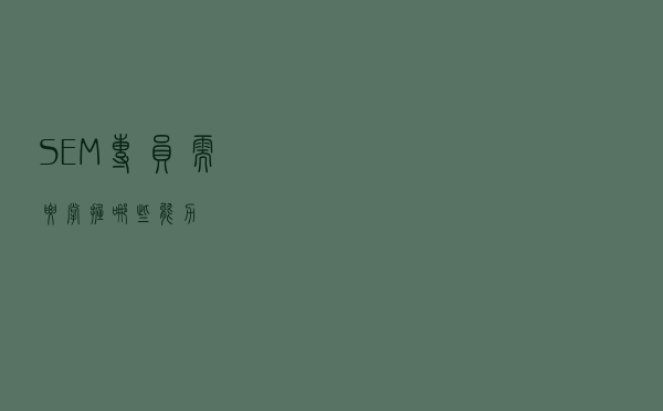 SEM专员需要掌握哪些能力？