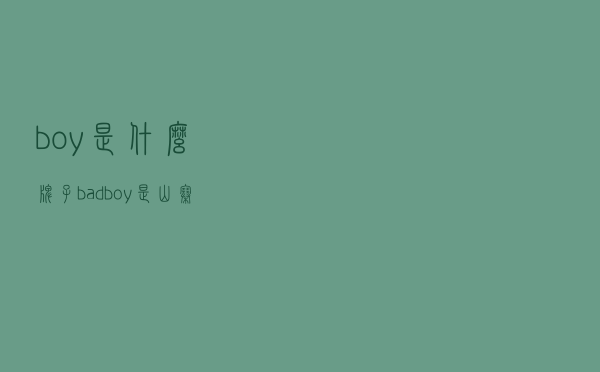 boy是什么牌子_badboy是山寨货吗