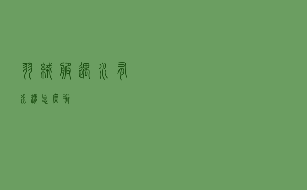 羽绒服遇水有水渍怎么办