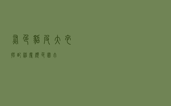 灰色貂皮大衣搭配神魔颜色围巾
