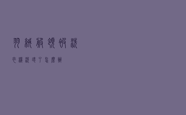 羽绒服领被洗衣机洗坏了怎么办