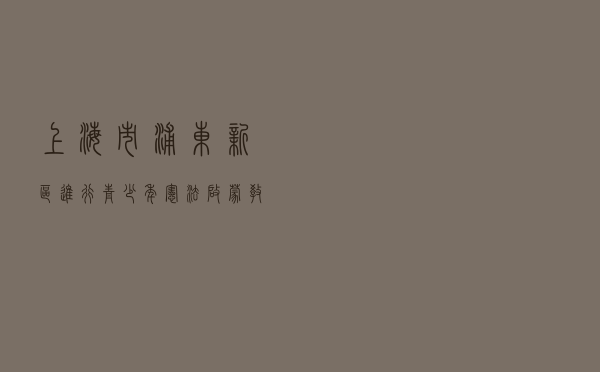 上海市浦东新区进行青少年宪法启蒙教育课程案例