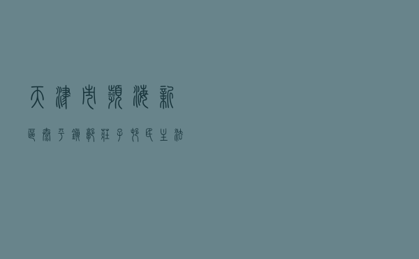 天津市滨海新区太平镇郭庄子村民主法治建设的探索与实践