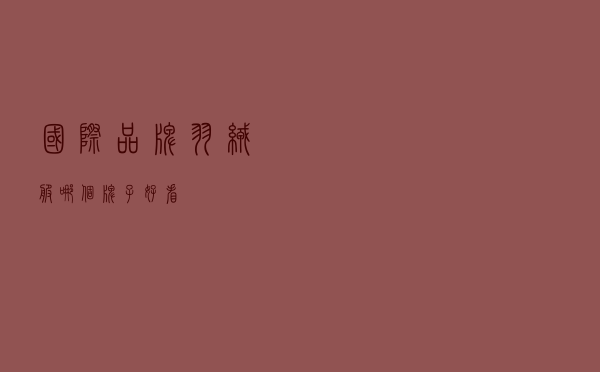 国际品牌羽绒服哪个牌子好看