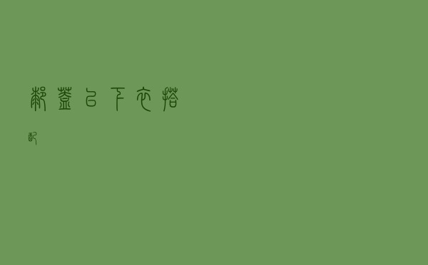 膝盖以下衣搭配