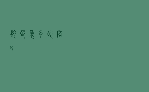 驼色裙子的搭配