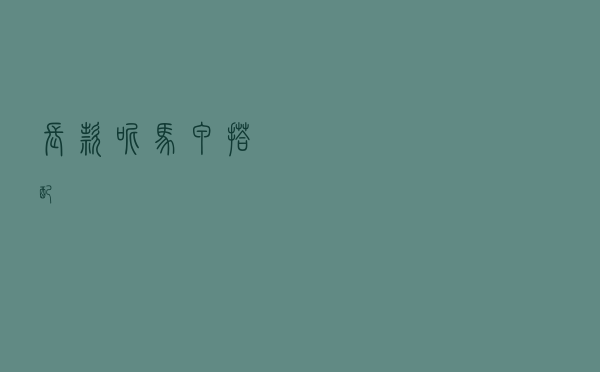 长款呢马甲搭配