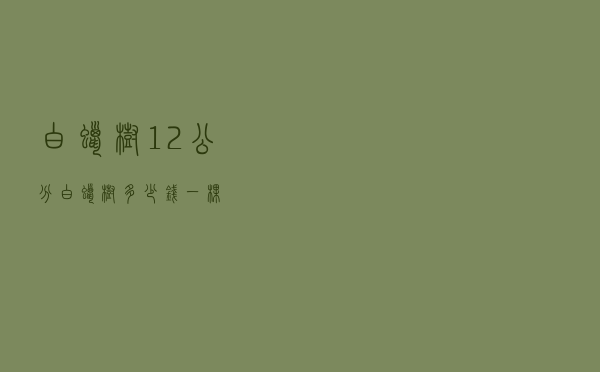白蜡树（12公分白蜡树多少钱一棵）