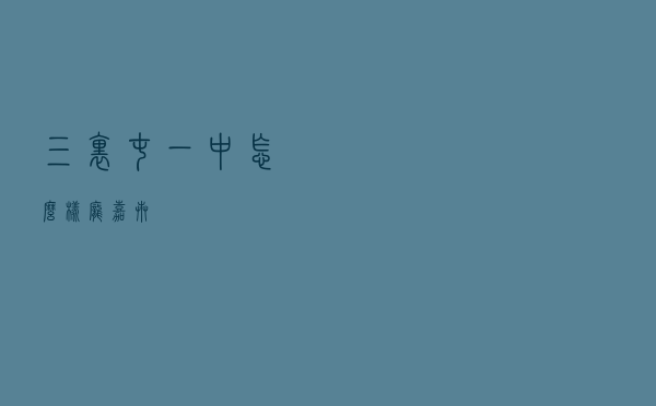三里屯一中怎么样「庞嘉卉」
