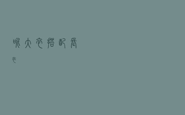 呢大衣搭配长衣