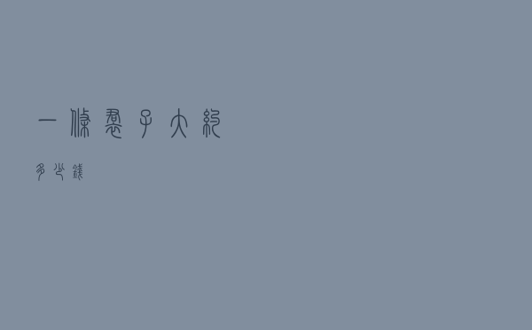 一条裙子大约多少钱