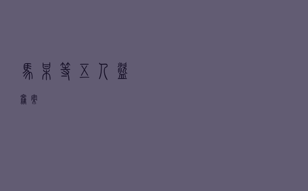 马某等五人盗窃案