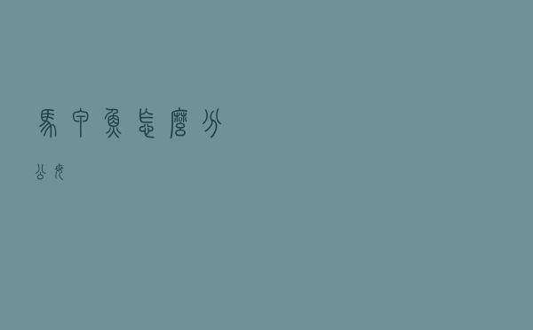 马甲鱼怎么分公母