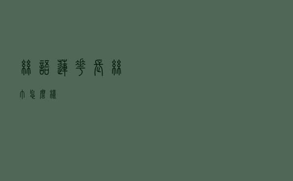 丝语莲花长丝巾怎么样