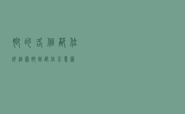 脚的各个部位详细图「脚面部位示意图」