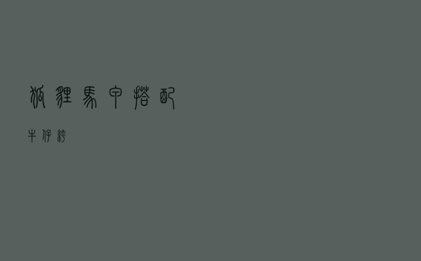 狐狸马甲搭配牛仔裤