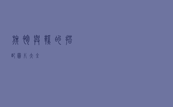 旗袍与鞋的搭配图片大全