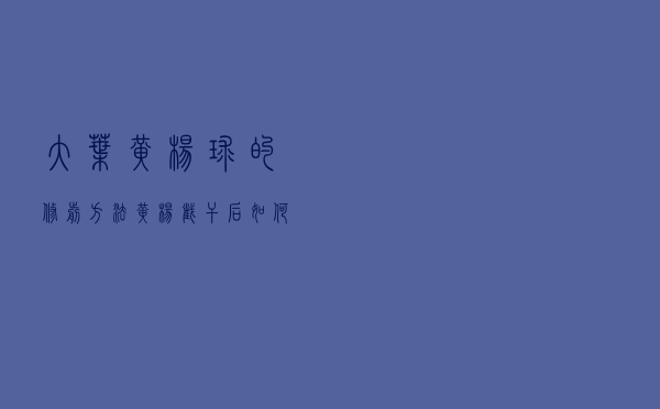 大叶黄杨球的修剪方法 「黄杨截干后如何能发芽」