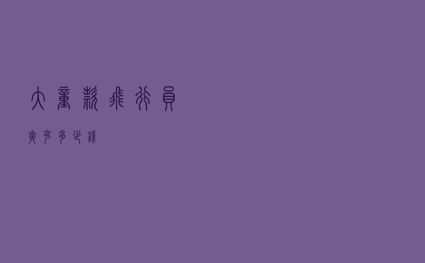 大童款飞行员夹克多少钱